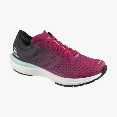 Salomon SONIC 3 Accelerate W Womens Running Shoes Fuchsia | Salomon South Africa